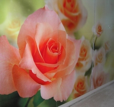 Шафи-купе власного виробництва. Опт і роздріб.