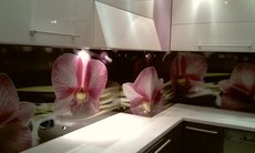 Скляні стінові панелі з екологічно чистої фотодруком