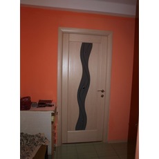Двері міжкімнатні шпоновані Terminus (Стрий, Дрогобич, Труск