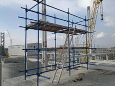 Ліси клино-хомутові. Прокат, оренда в Харкові.