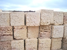  Ракушняк в Харкові