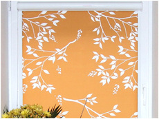 Жалюзі та ролети