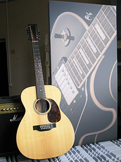 Пофарбовані панелі