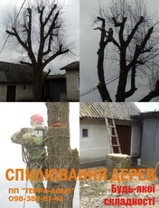 Спилювання дерев. Валка, кронування та обрізка дерев