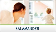 Вікна Salamander - найкращі перспективи для затишного будинк