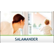 Вікна Salamander - найкращі перспективи для затишного будинк