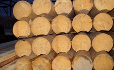 Пиломатеріали, кругляк, дошка.