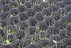 Модульна георешітка