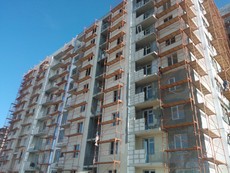 Рамні лісу "Вірамакс" (Оренда, продаж)