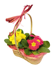 Подарки и цветы на 14 февраля, 8 марта, Подарки и цветы на 1