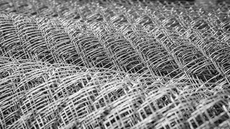 Сітка рабиця