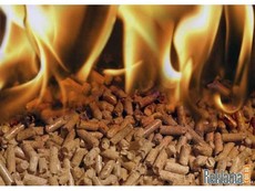 Куплю пелети.