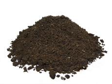 Торф низинний