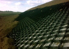 Георешетка