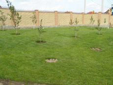 Створення декоративних водойм