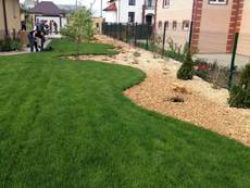 Рулонні газони. Продаж. Укладання. Обслуговування.