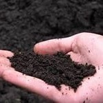 Купити чорнозем Київ