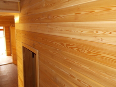 Модрина: вагонка, терасна дошка, планки, імітація бру