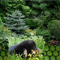 Сітка від кротів