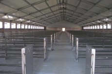 Ангари для тваринництва, будівництво під ключ в Україні.
