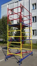 Вишка тура.