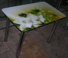 Стіл скляний з фотодруком по супер-ціні!