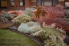 Ландшафтний дизайн