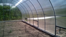 Теплиці з полікарбонату