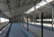 Будуємо свиноферми, корівник, стайню