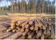 Постійно закуповуємо рудстойку