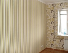 Поклейка шпалер Пуща Водиця, Горенка, Виноградар