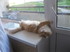 Терміновий ремонт дверей Київ, ремонт металопластикових та а