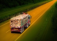 Дрова дуб, береза, сосна. Колоти та по 1-2м. Гуртом